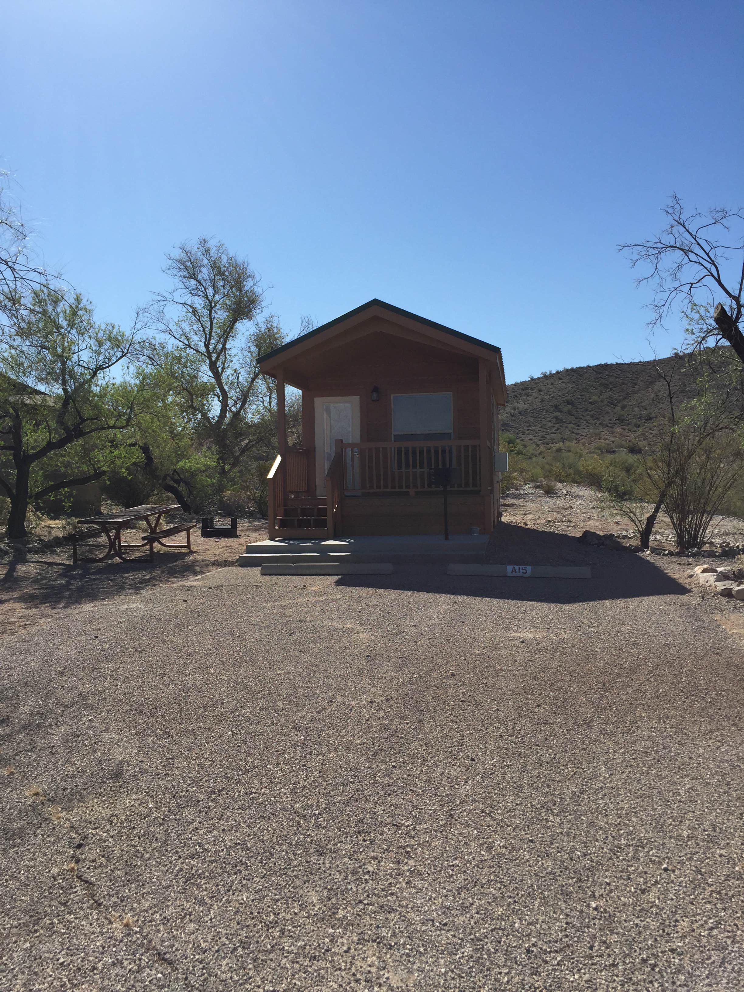 Camper-submitted photo at Alamo Lake State Park Campground near Yarnell, AZ