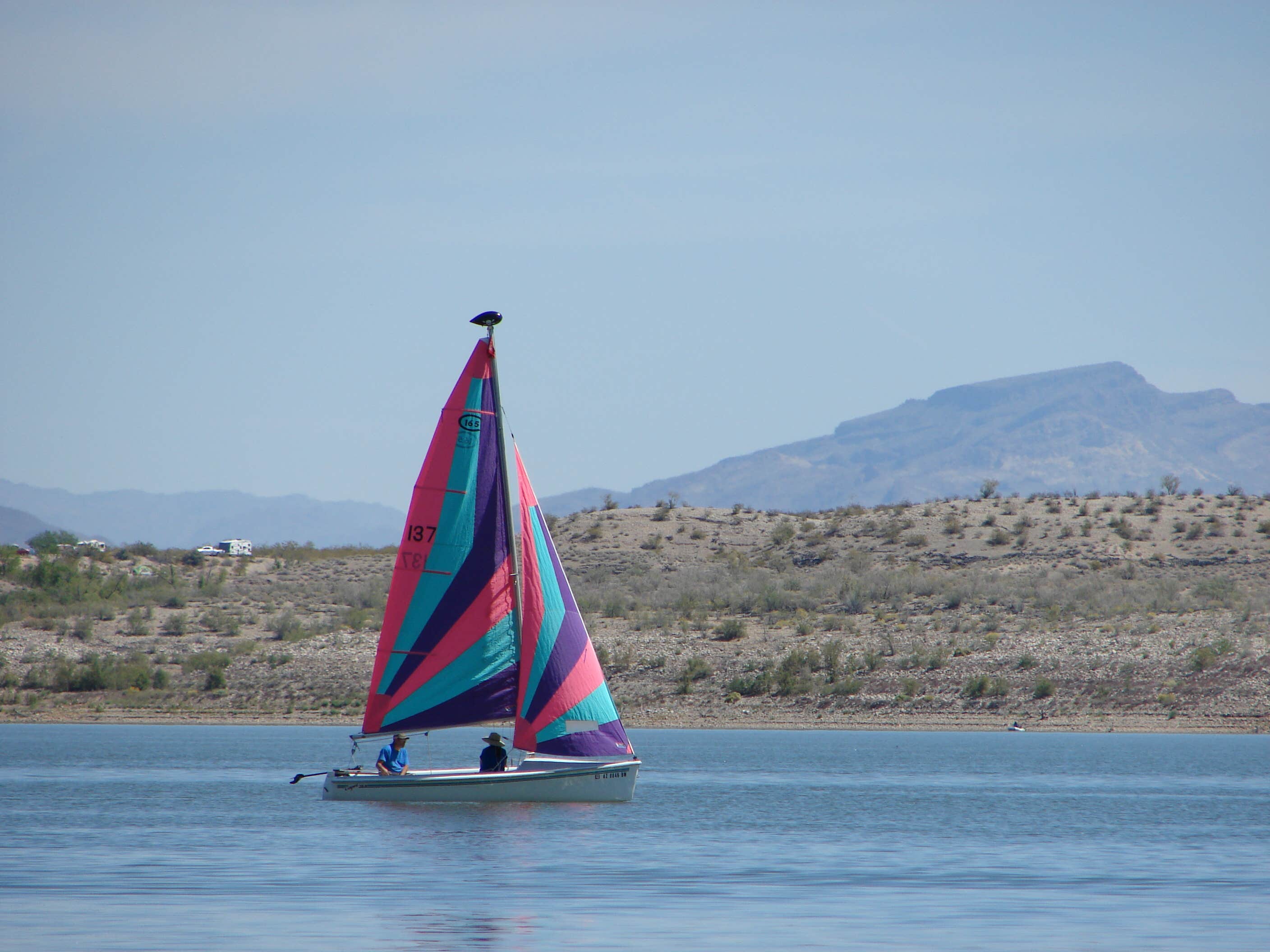 Camper-submitted photo at Alamo Lake State Park Campground near Yarnell, AZ