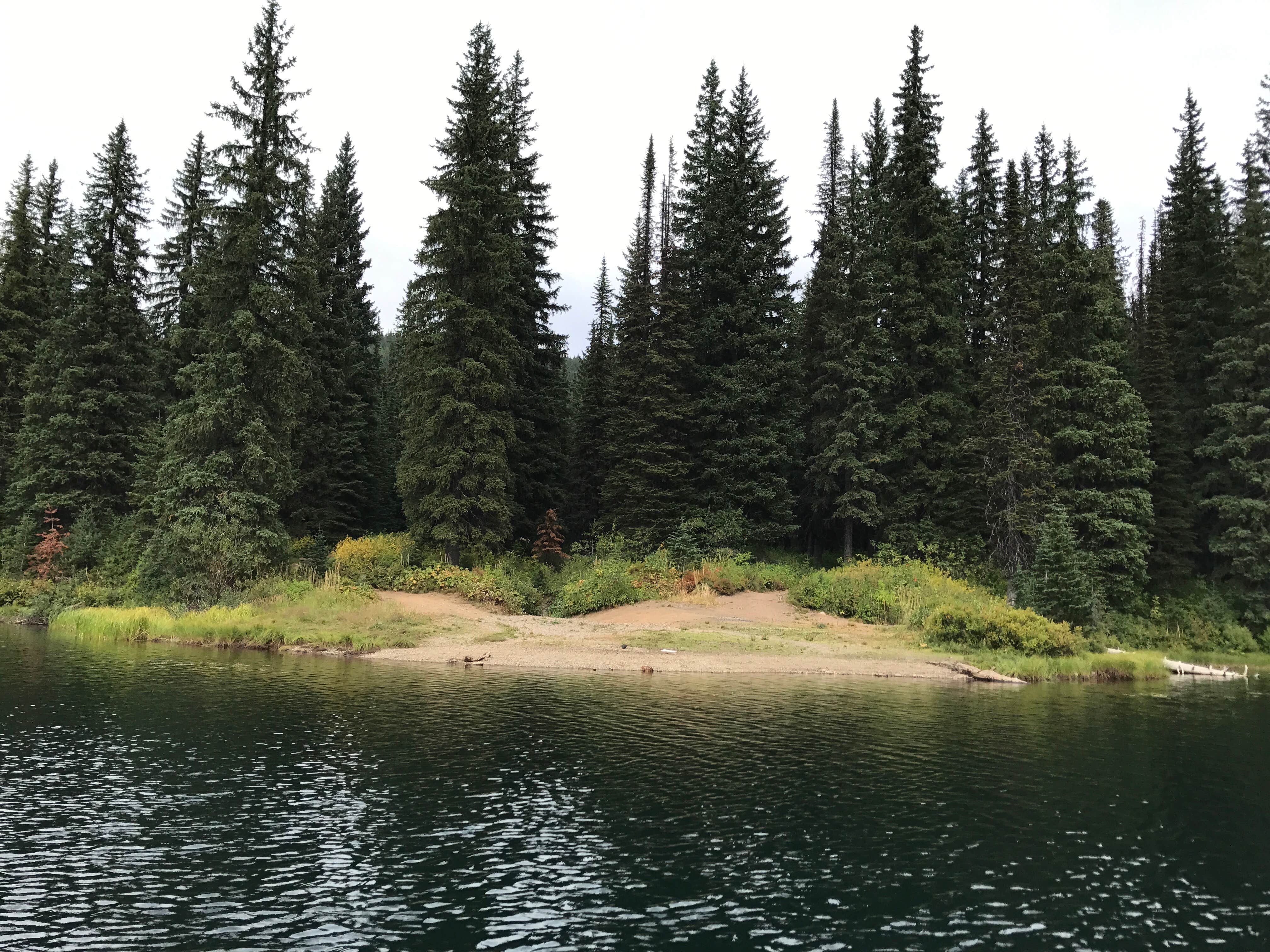 Camper submitted image from Lake Elsie Campground - 2