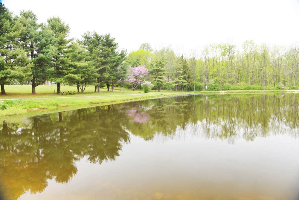 Camper-submitted photo at Appalachian Camping Resort near Leesport, PA