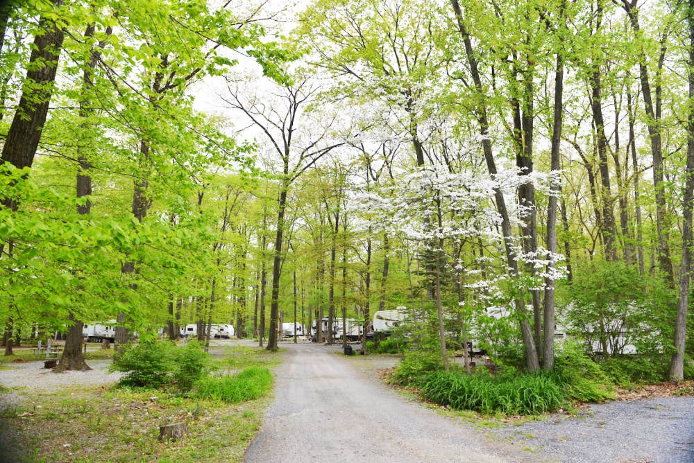 Camper-submitted photo at Appalachian Camping Resort near Danville, PA