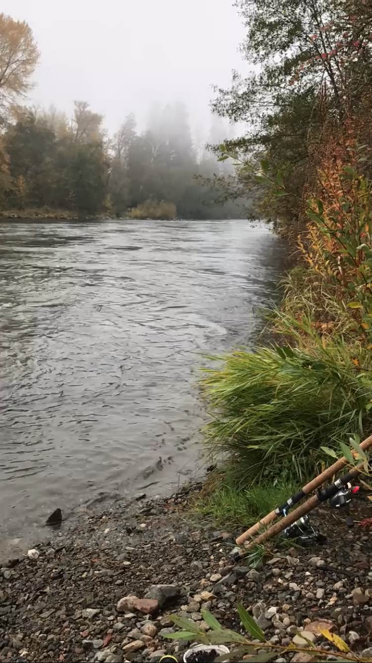 Camper-submitted photo at Rogue River Dispersed Campsites near Gold Beach, OR