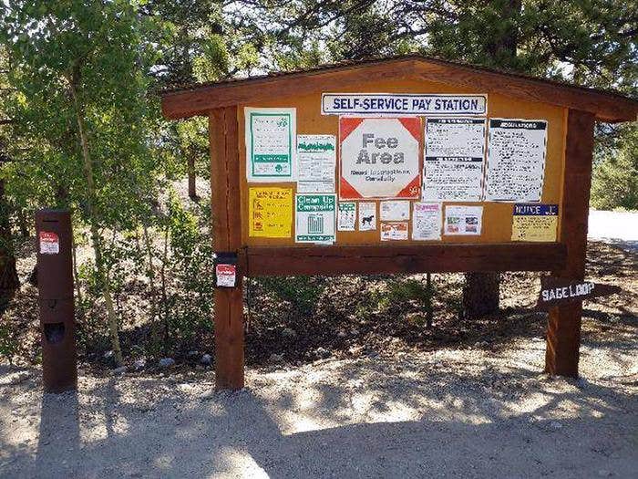 Camper submitted image from White Star - 5
