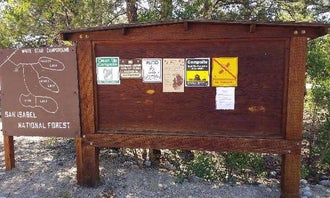 Camping near Twin Peaks Dispersed Campground- Colorado: White Star, Granite, Colorado