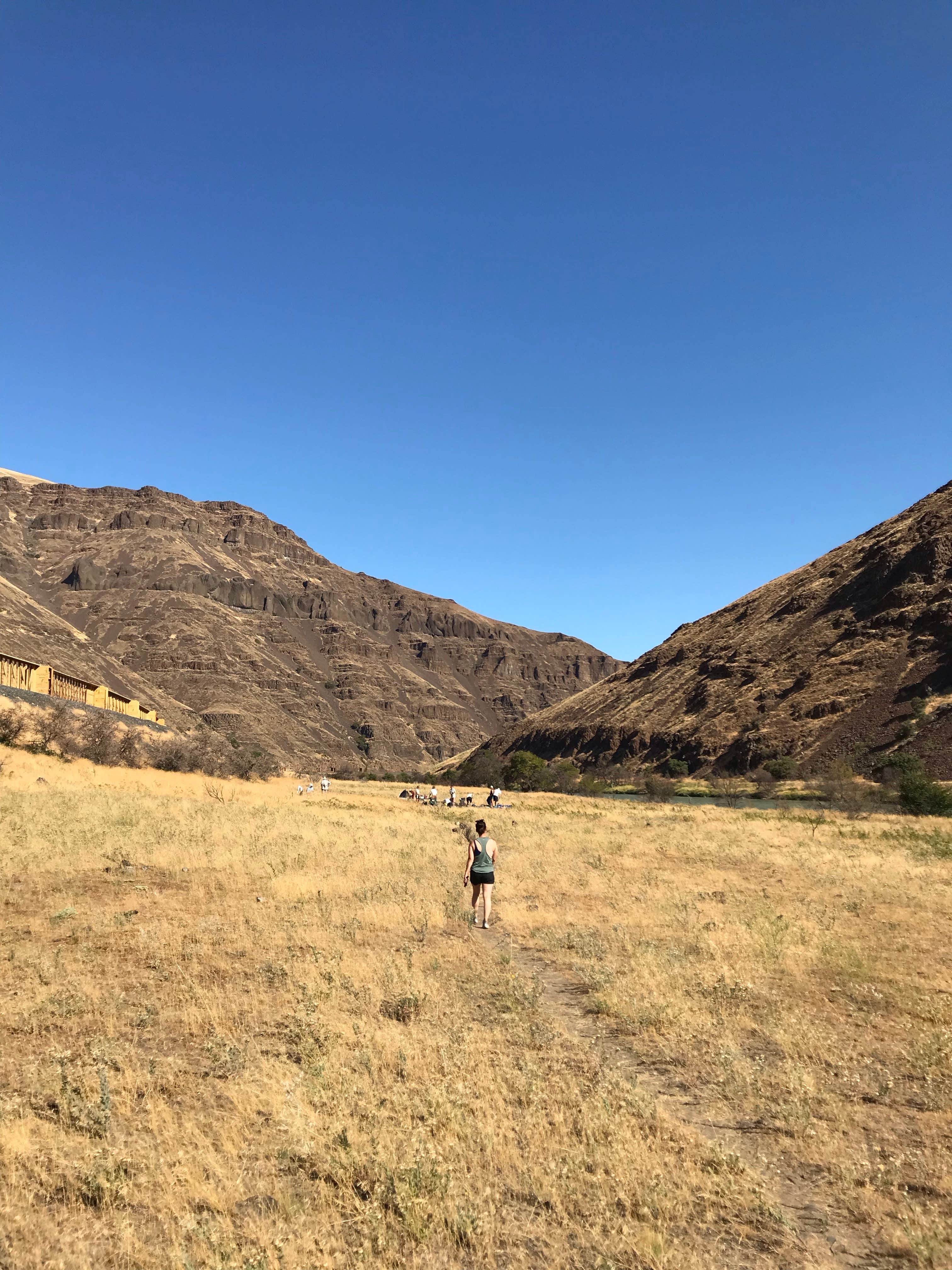 Camper-submitted photo at Hike in from Lower Deschutes State Rec Area near John Day Lock and Dam, Lake Umatilla