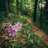 Review photo of Table Rock State Park Campground by Tony M., April 18, 2020