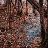 Review photo of Cuivre River State Park Campground by Tony M., April 18, 2020