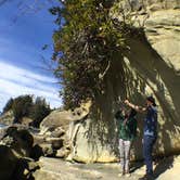Review photo of Larrabee State Park Campground by Jessica C., September 11, 2017