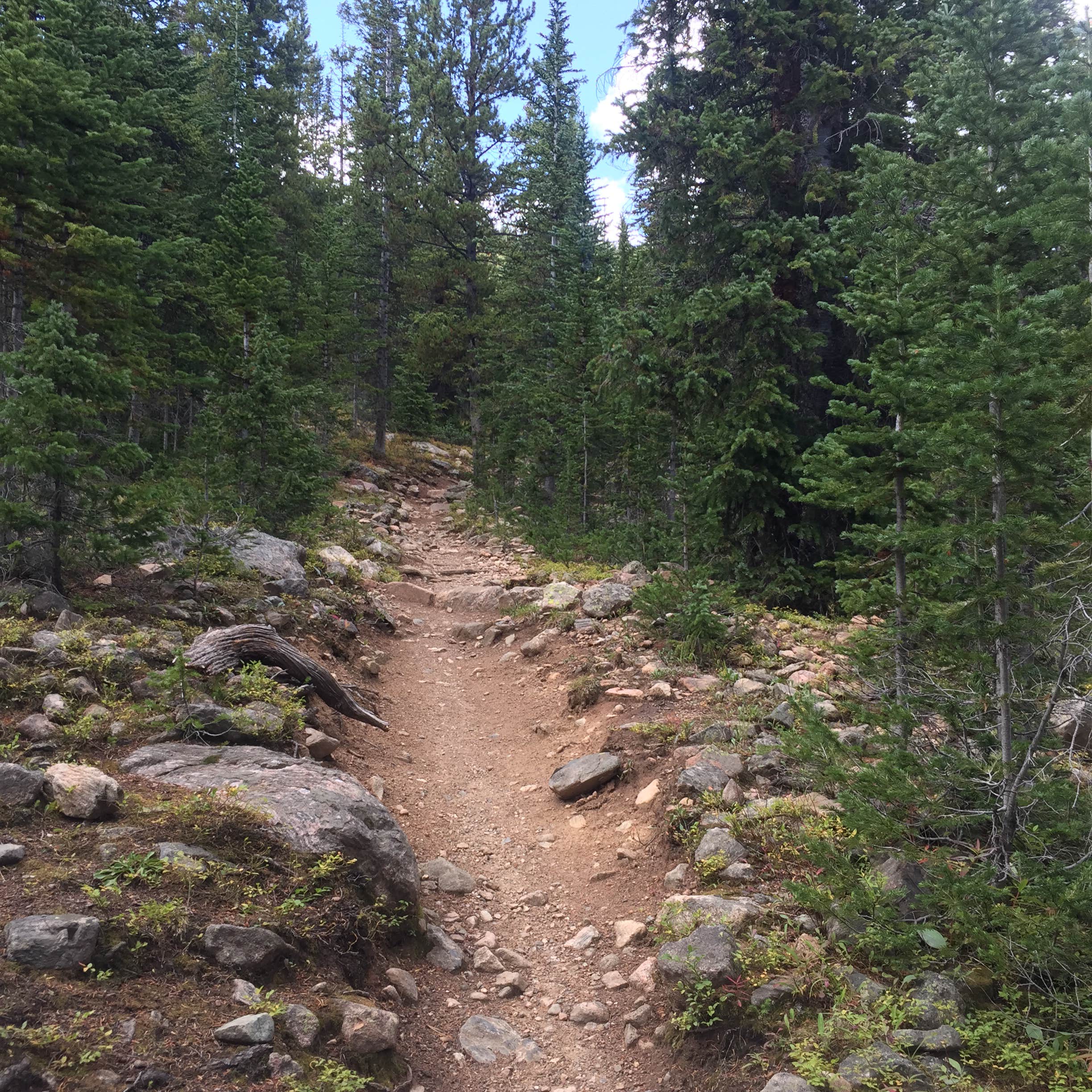 Escape to the Enchanting Halfmoon West Campground: Your Colorado Adventure Awaits!