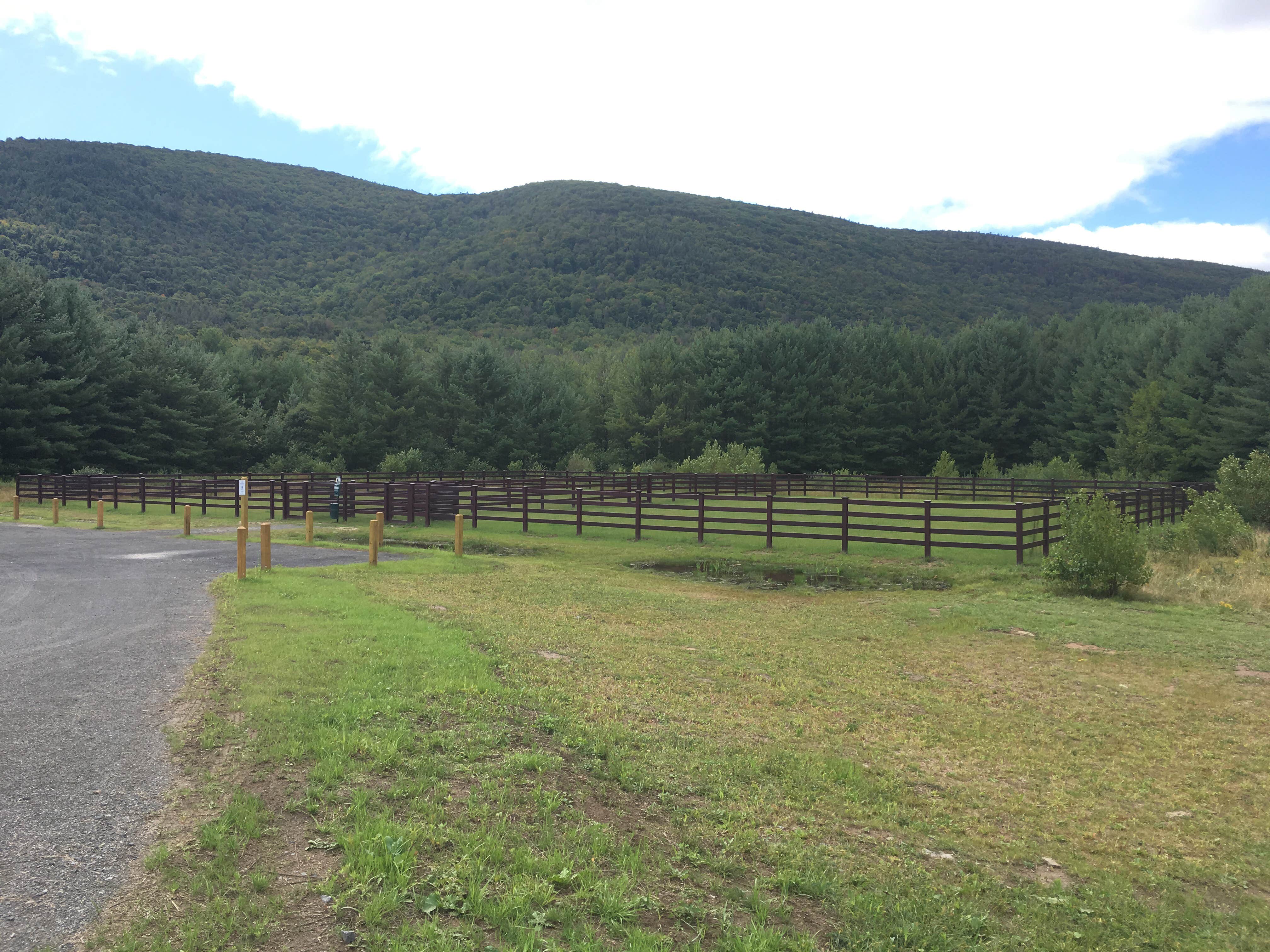 Camper submitted image from Catskill/Kenneth L Wilson Campground - 4