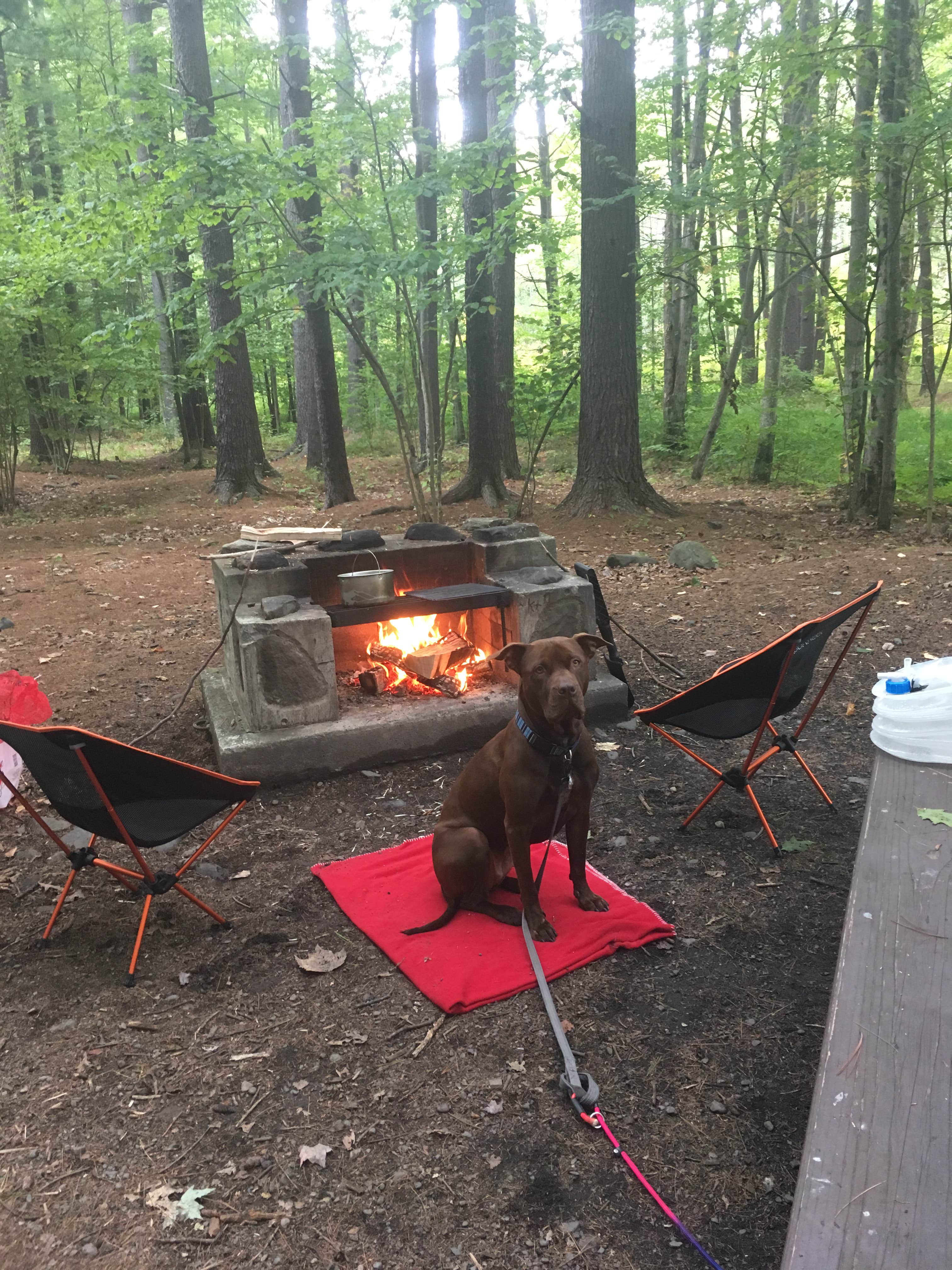 Kirstin T.'s photo at Catskill/Kenneth L Wilson Campground near Olivebridge, NY