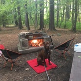 Review photo of Catskill/Kenneth L Wilson Campground by Kirstin T., September 14, 2017