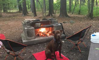 Kirstin T.'s photo at Catskill/Kenneth L Wilson Campground near Big Indian, NY