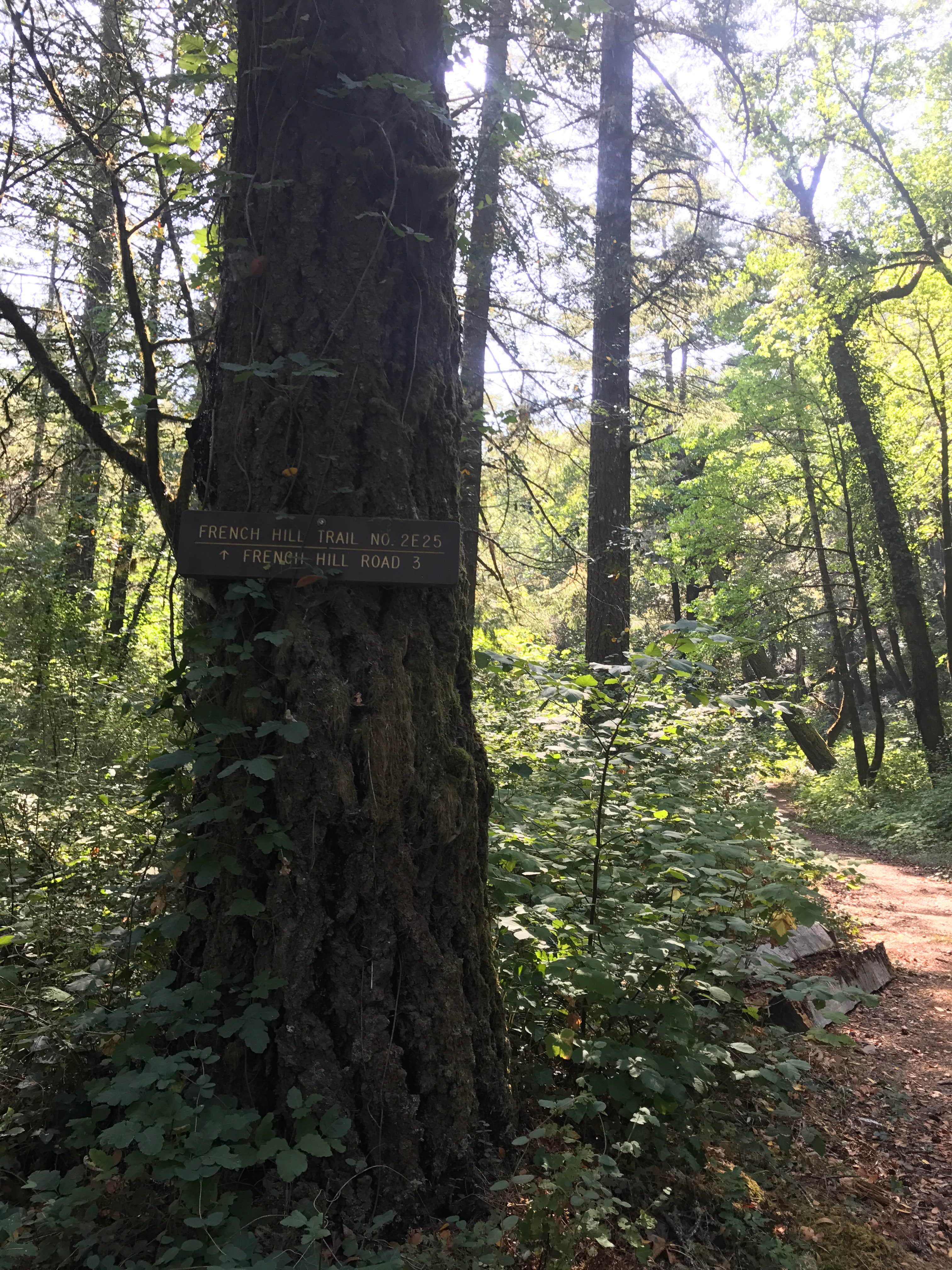Camper submitted image from Panther Flat Campground - 2
