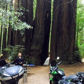 Review photo of Burlington - Humboldt Redwoods State Park by Ryan R., September 15, 2017
