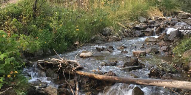 Camper submitted image from Twining Campground