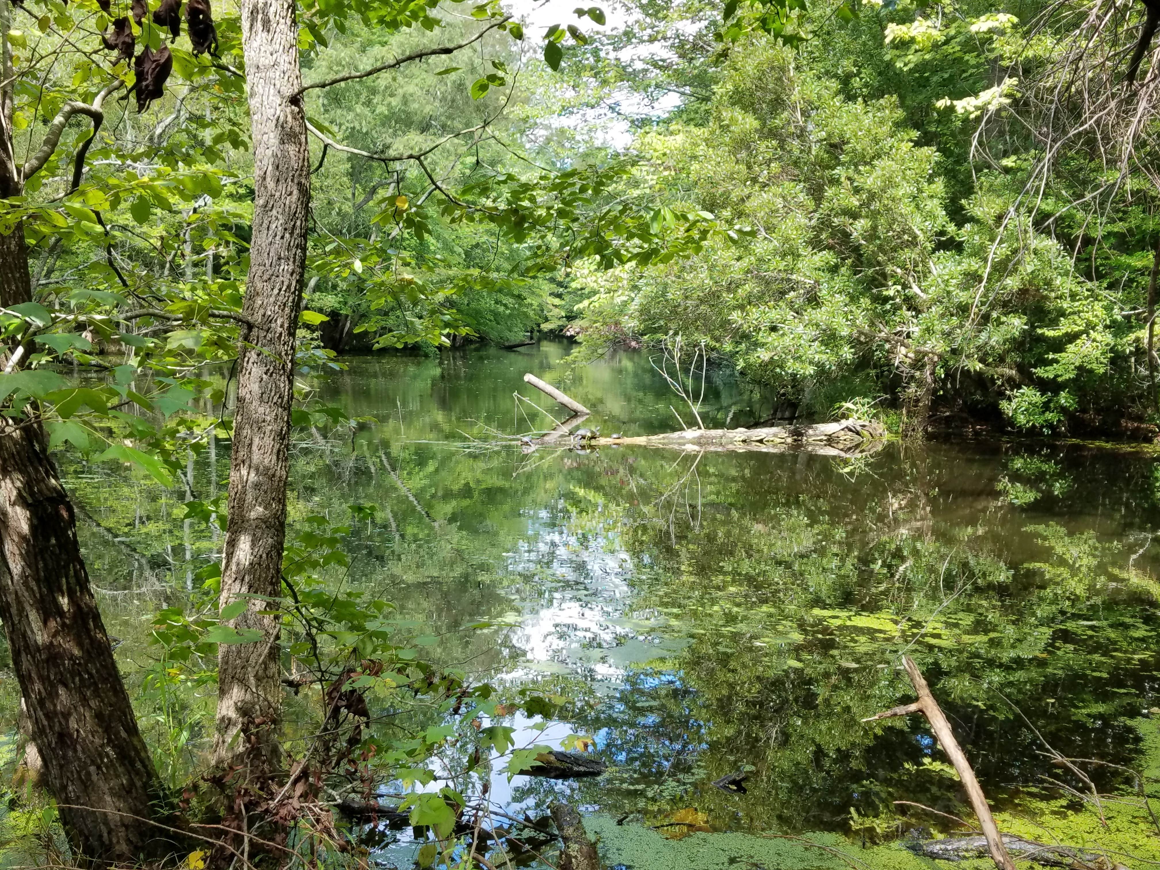 Camper submitted image from Northwest River Park & Campground - 3
