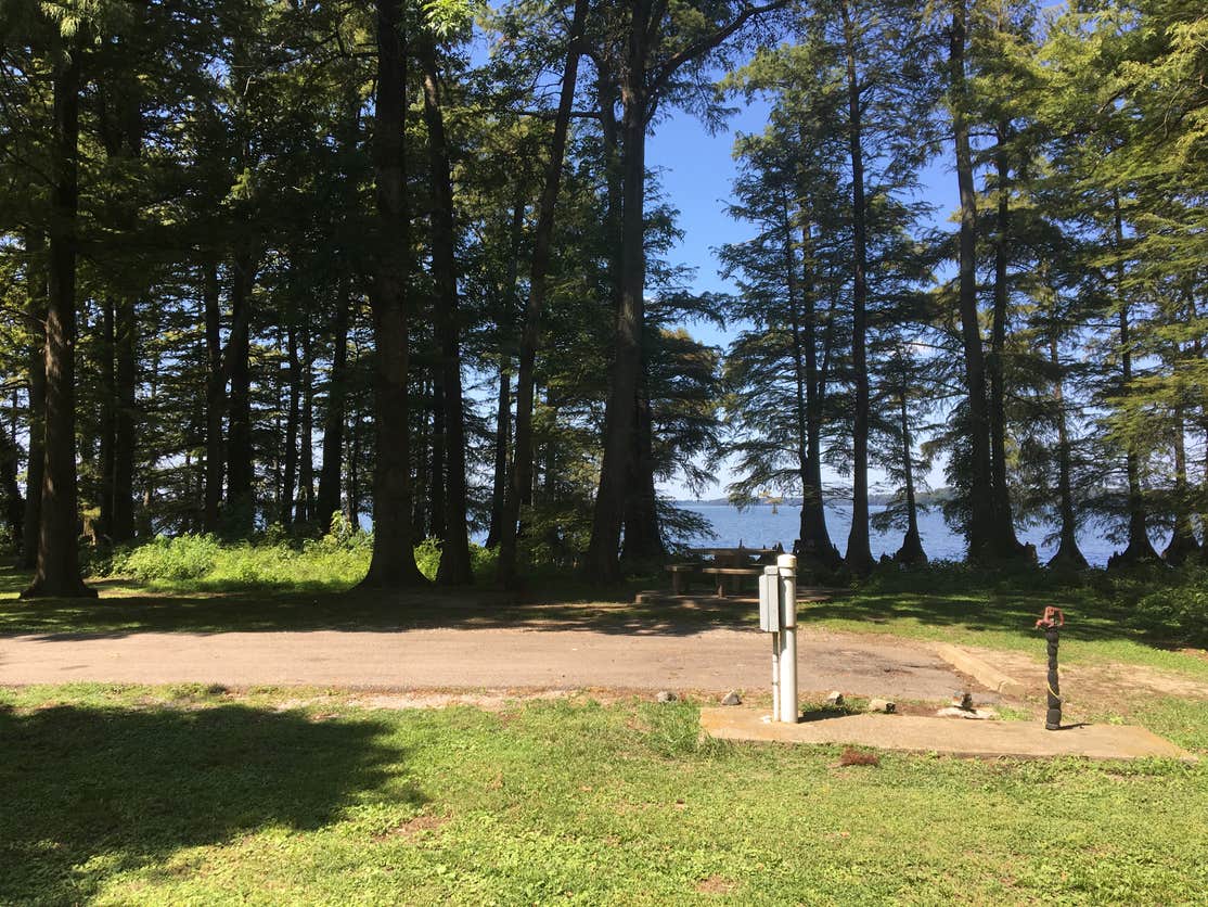 Reelfoot Lake Campgrounds The Dyrt