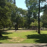 Review photo of South Campground — Reelfoot Lake State Park by Shelly S., September 15, 2017