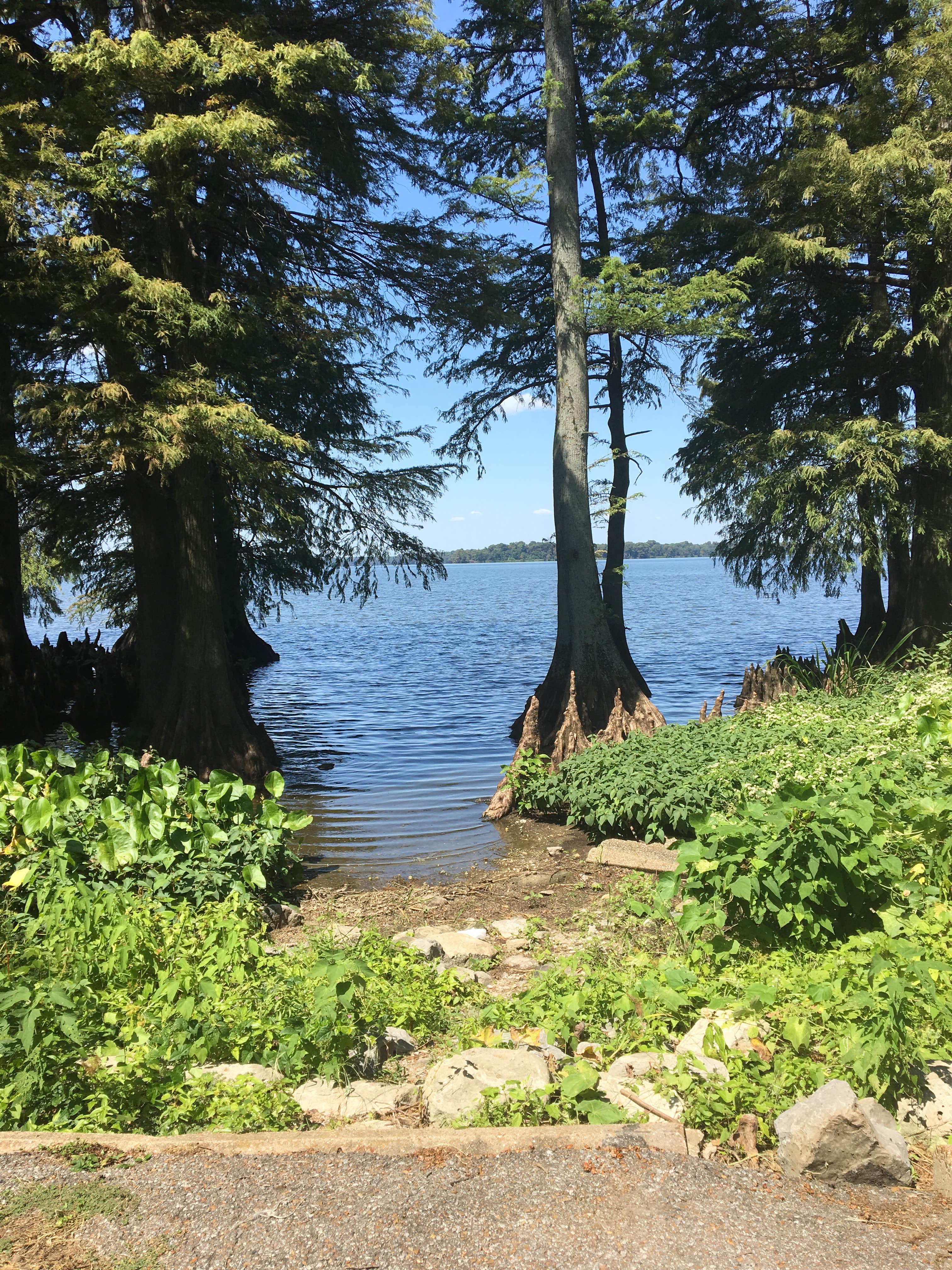 Camper-submitted photo at South Campground — Reelfoot Lake State Park near Dyersburg, TN