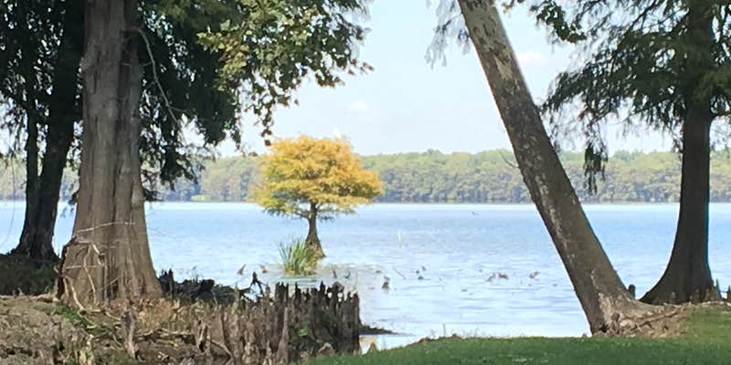 Camper submitted image from South Campground — Reelfoot Lake State Park