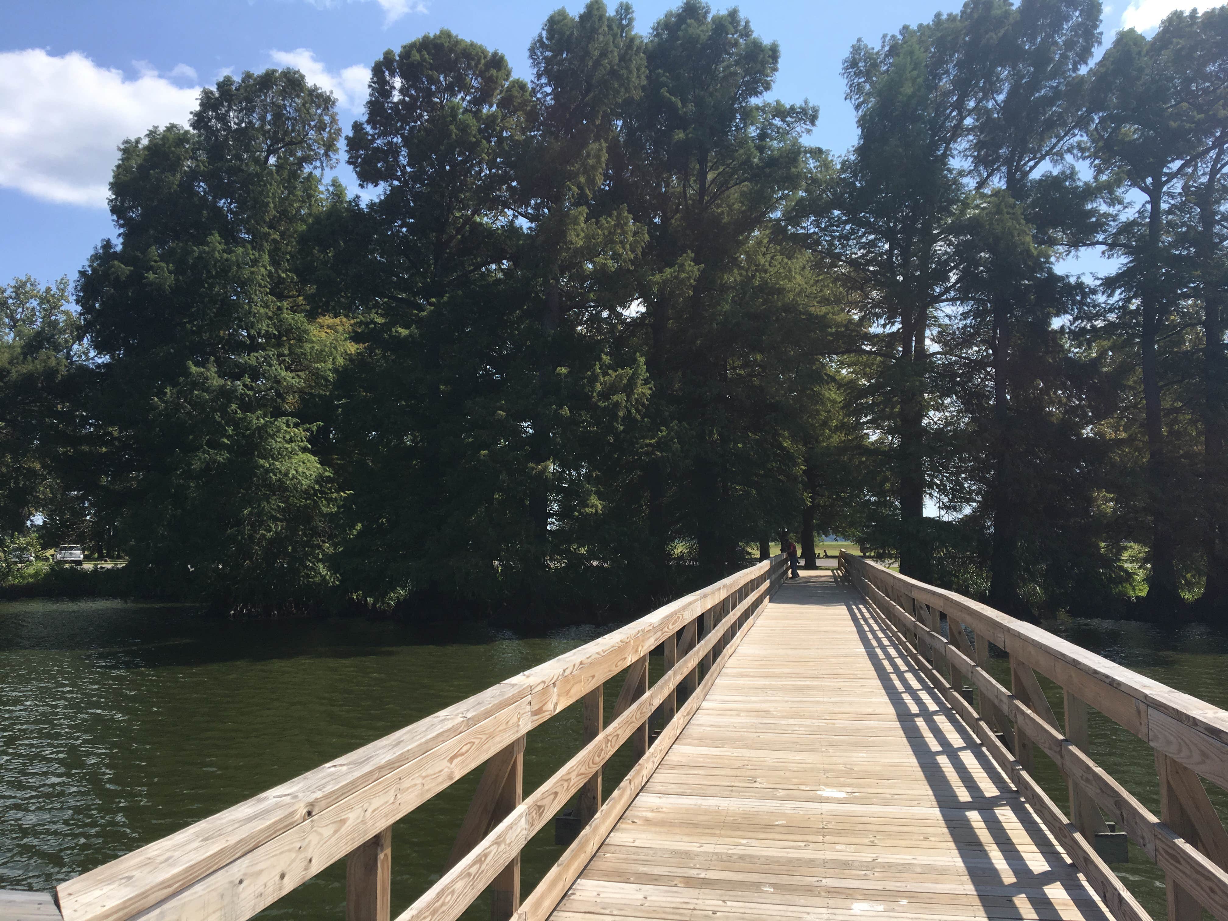Camper submitted image from South Campground — Reelfoot Lake State Park - 5