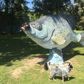 Review photo of South Campground — Reelfoot Lake State Park by Shelly S., September 15, 2017