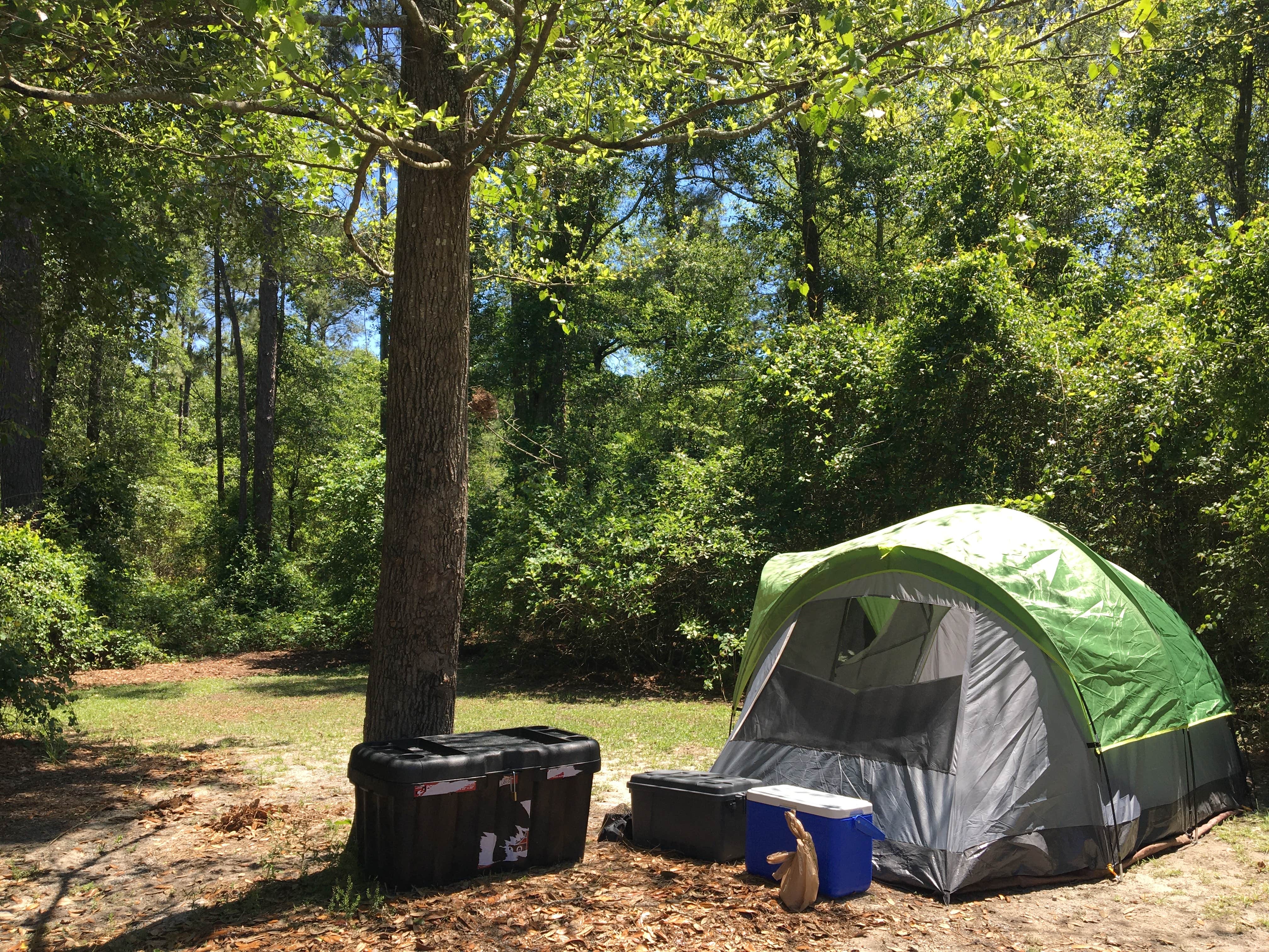 Emily A.'s photo at Reed Bingham State Park Campground near Enigma, GA