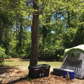 Review photo of Reed Bingham State Park Campground by Emily A., April 18, 2020