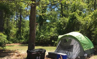Emily A.'s photo at Reed Bingham State Park Campground near Doerun, GA