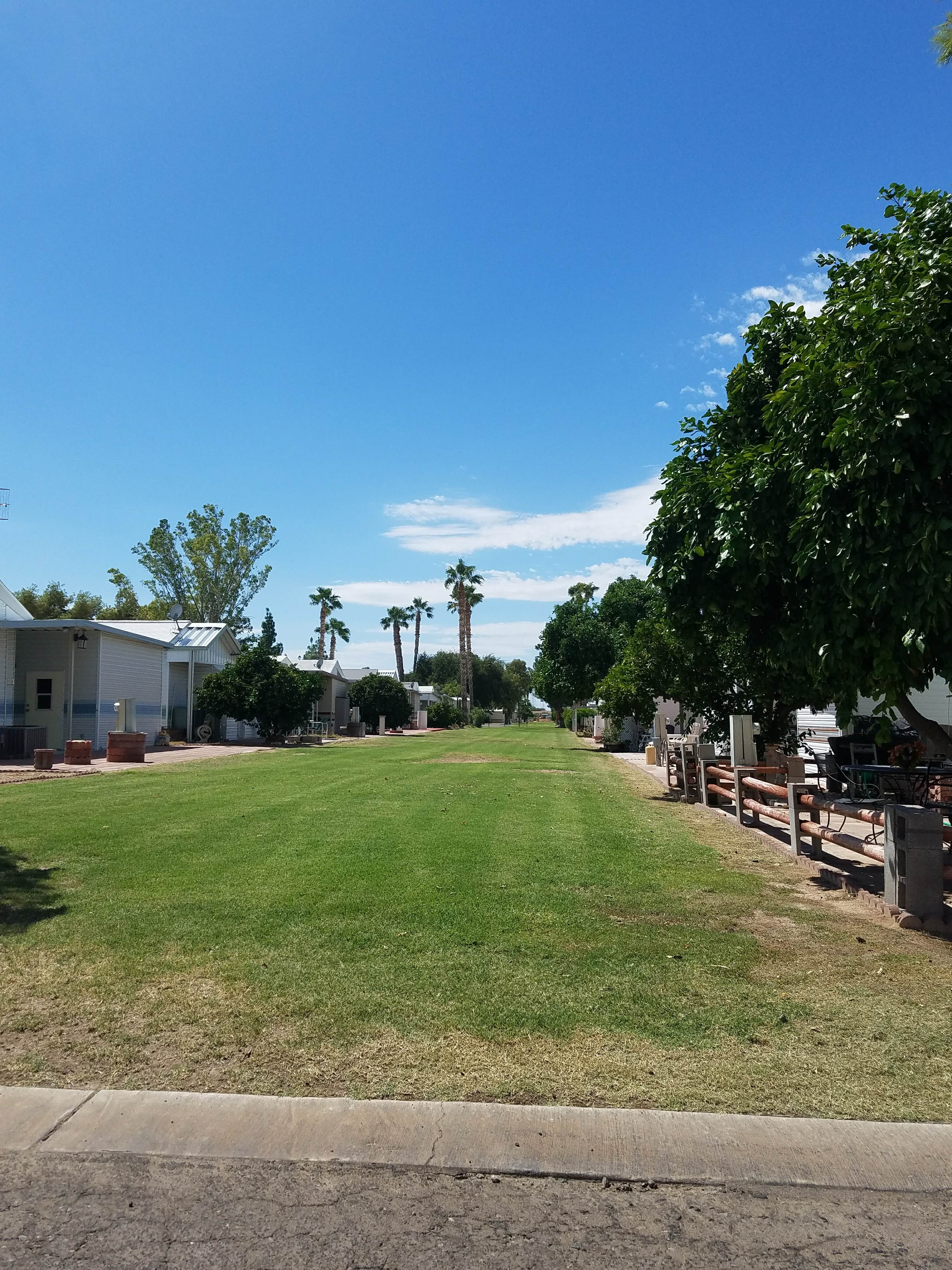 Camper submitted image from Encore Paradise RV - 4