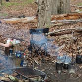 Review photo of Sandyston Boat In Campsites — Delaware Water Gap National Recreation Area by John B., April 19, 2020