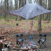 Review photo of Sandyston Boat In Campsites — Delaware Water Gap National Recreation Area by John B., April 19, 2020