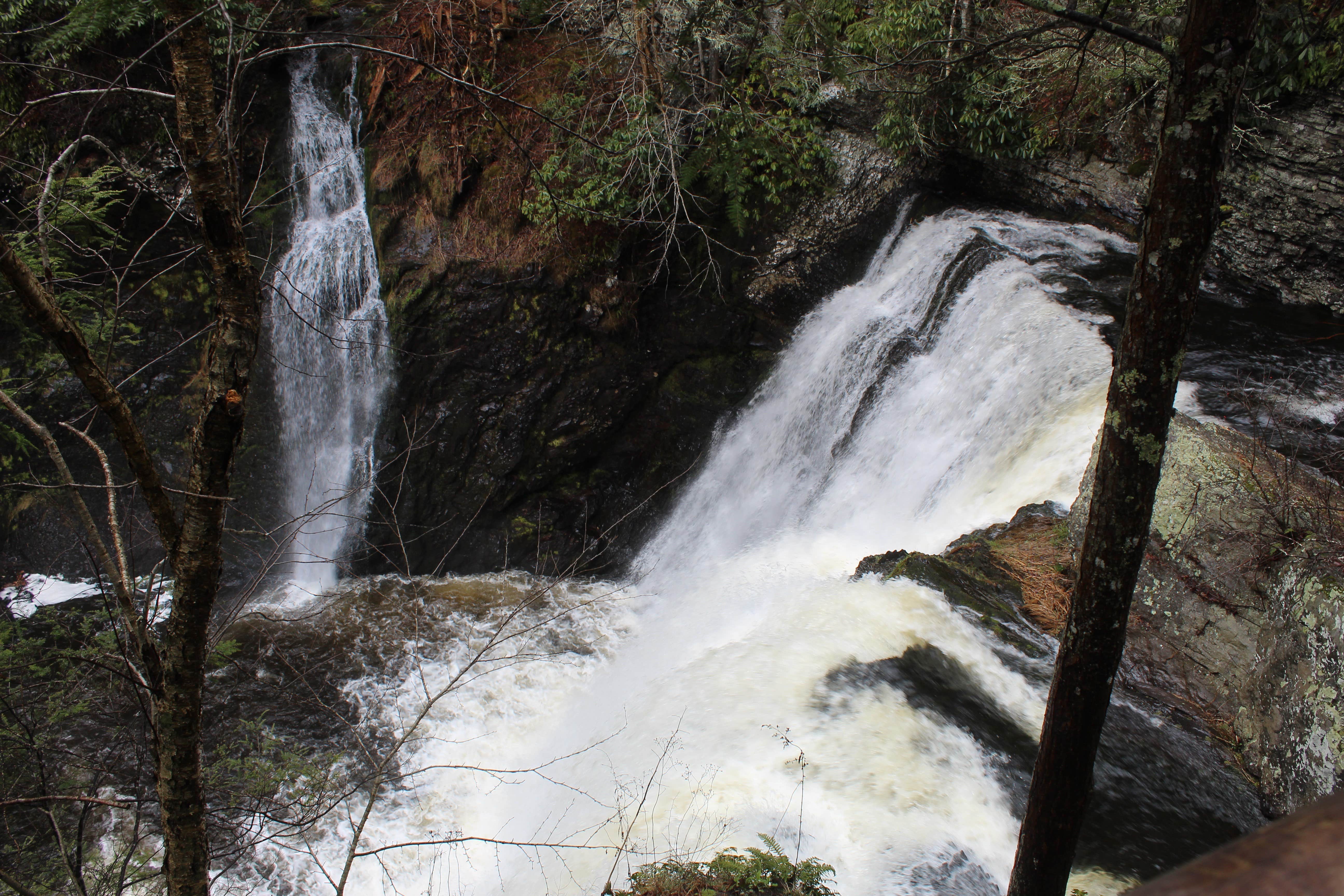 Camper submitted image from Sandyston Boat In Campsites — Delaware Water Gap National Recreation Area - 5