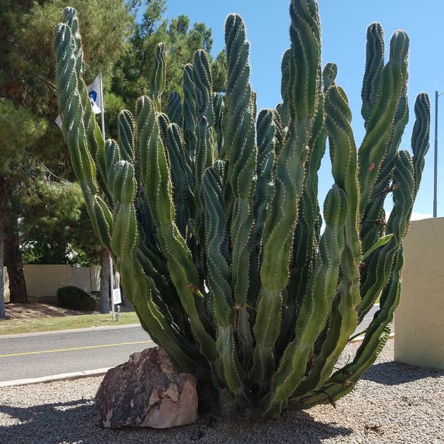 Encore Paradise RV Sun City, AZ