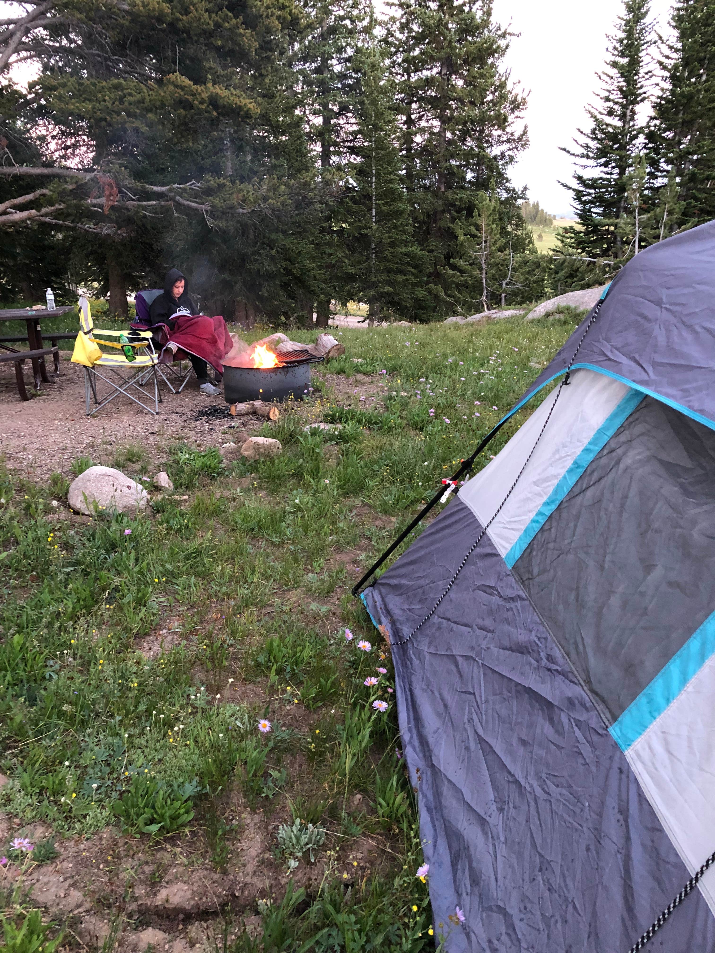 Camper submitted image from Island Lake Campground - 5