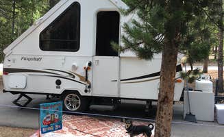 Ronda C.'s photo of camping with pets at Deer Creek Campground — Golden Gate Canyon near Northglenn, CO