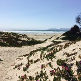Review photo of North Beach Campground — Pismo State Beach by Ryan R., September 15, 2017