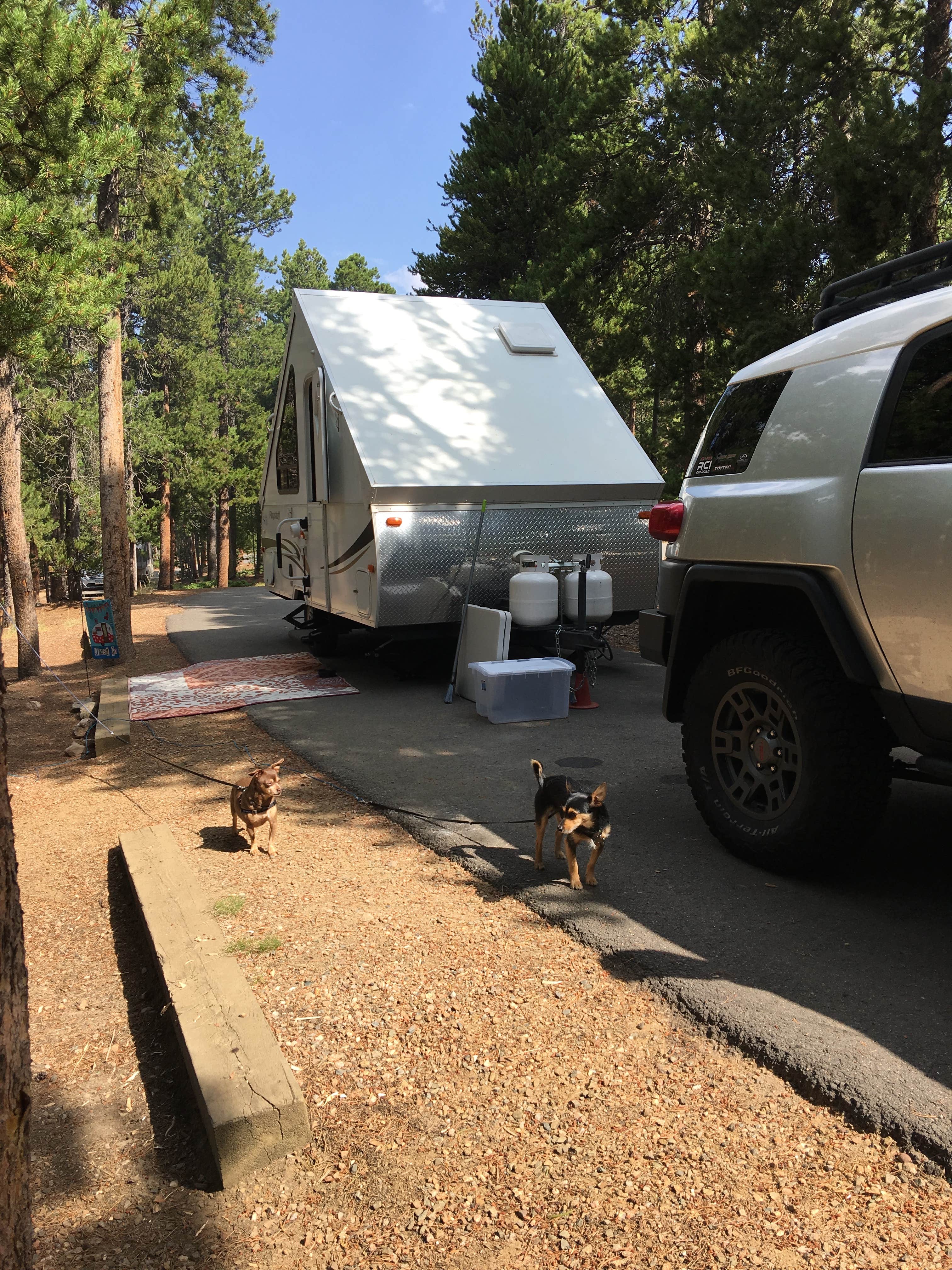 Ronda C.'s photo of camping with pets at Deer Creek Campground — Golden Gate Canyon near Nederland, CO