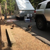 Review photo of Deer Creek Campground — Golden Gate Canyon by Ronda C., April 20, 2020