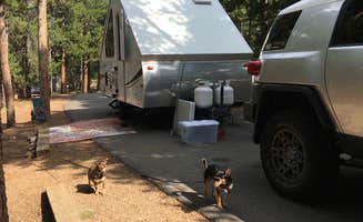 Ronda C.'s photo of camping with pets at Deer Creek Campground — Golden Gate Canyon near Morrison, CO