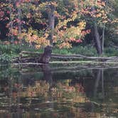 Review photo of Fox Den Campground — Chain O' Lakes State Park by Aida K., September 15, 2017
