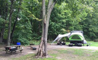 Aida K.'s photo at Fox Den Campground — Chain O' Lakes State Park near Wonder Lake, IL