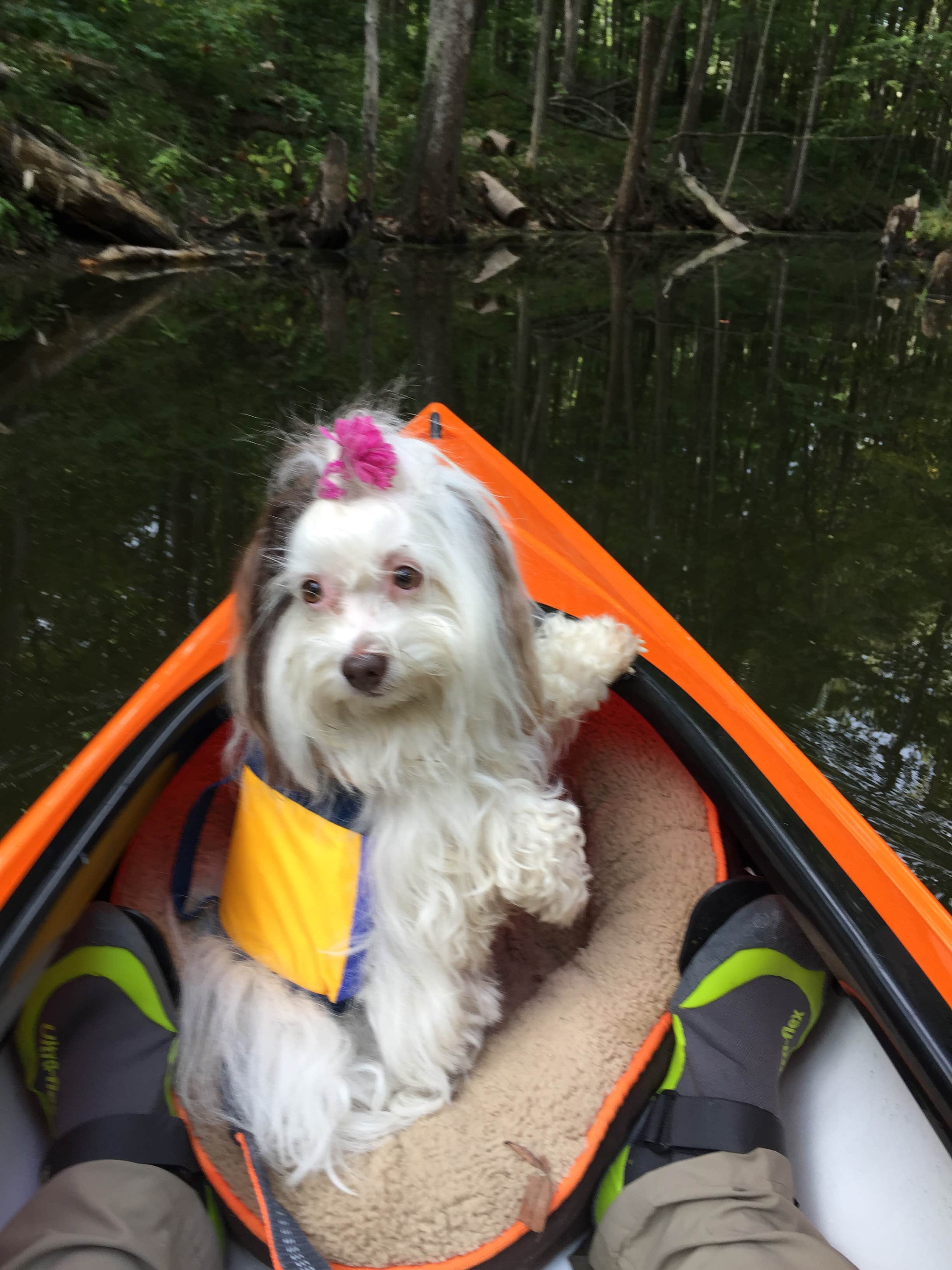 Camper-submitted photo at Fox Den Campground — Chain O' Lakes State Park near Palatine, IL