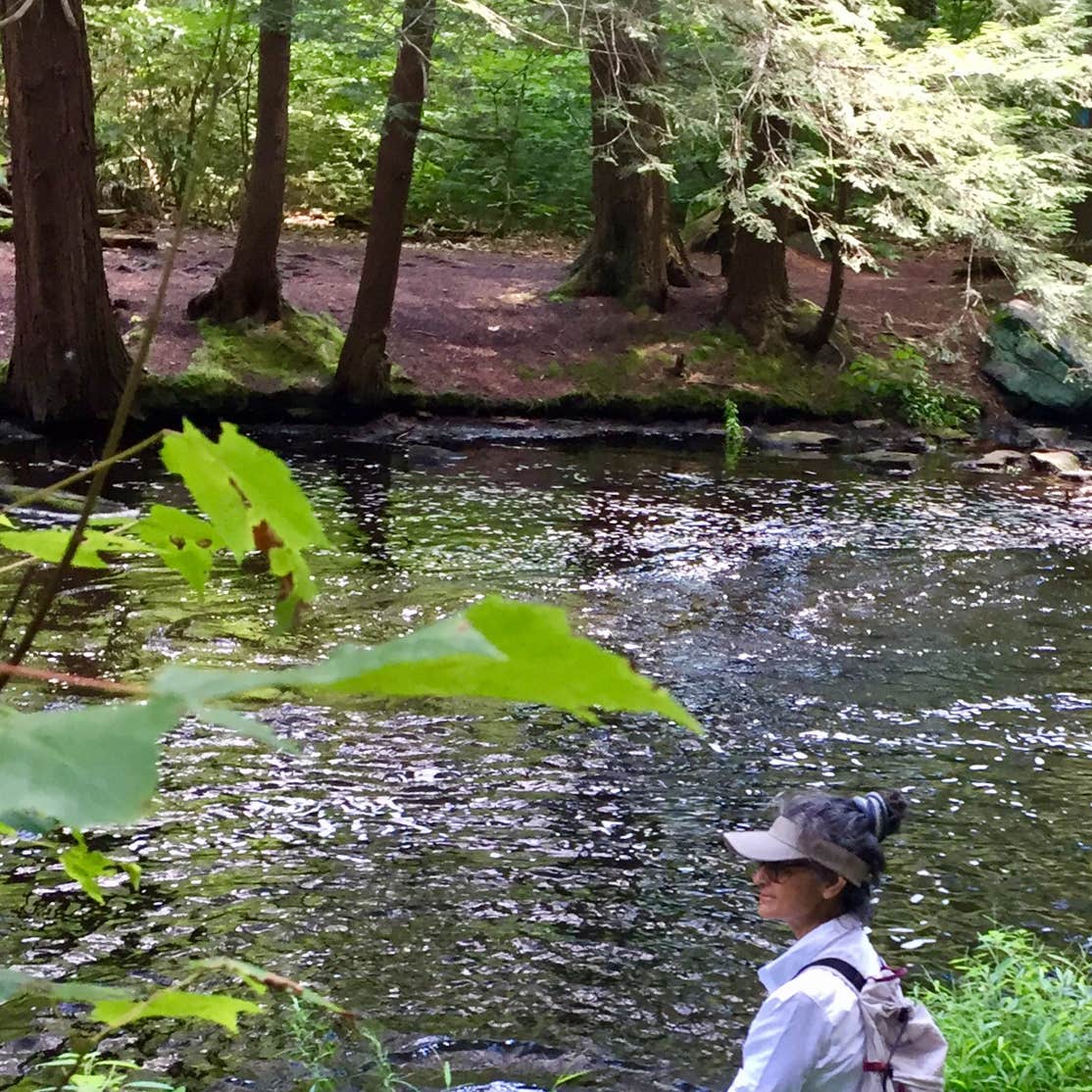 Pickerel Point Promised Land State Park Camping The Dyrt