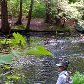 Review photo of Pickerel Point Campground — Promised Land State Park by Aida K., September 15, 2017
