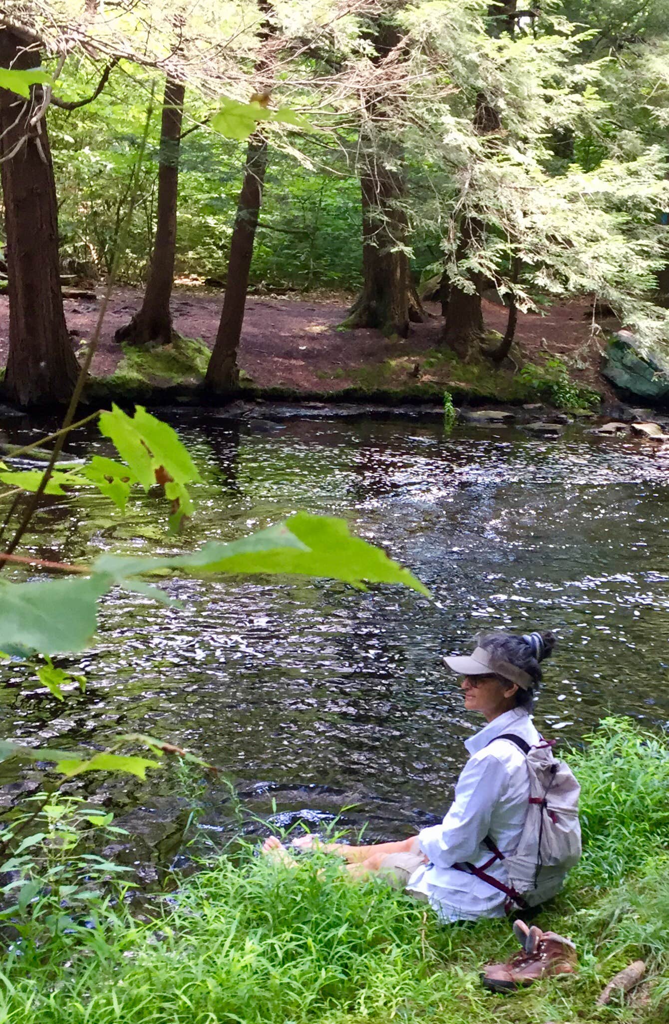 Camper submitted image from Pickerel Point Campground — Promised Land State Park - 4