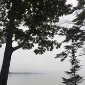 Review photo of Wolfe's Neck Oceanfront Campground by Casi O., September 15, 2017