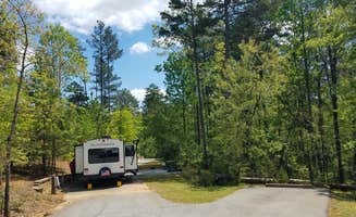 Nancy W.'s photo of rv camping at Don Carter State Park Campground near Gainesville, GA