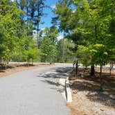 Review photo of Don Carter State Park Campground by Nancy W., April 20, 2020